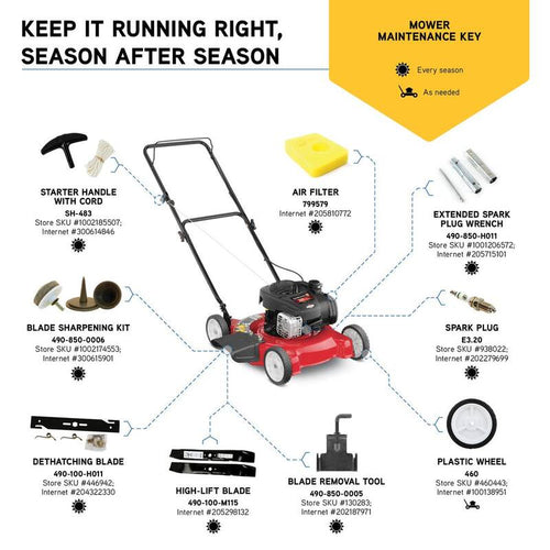 20 in. 125 cc OHV Briggs and Stratton Gas Walk Behind Push Mower