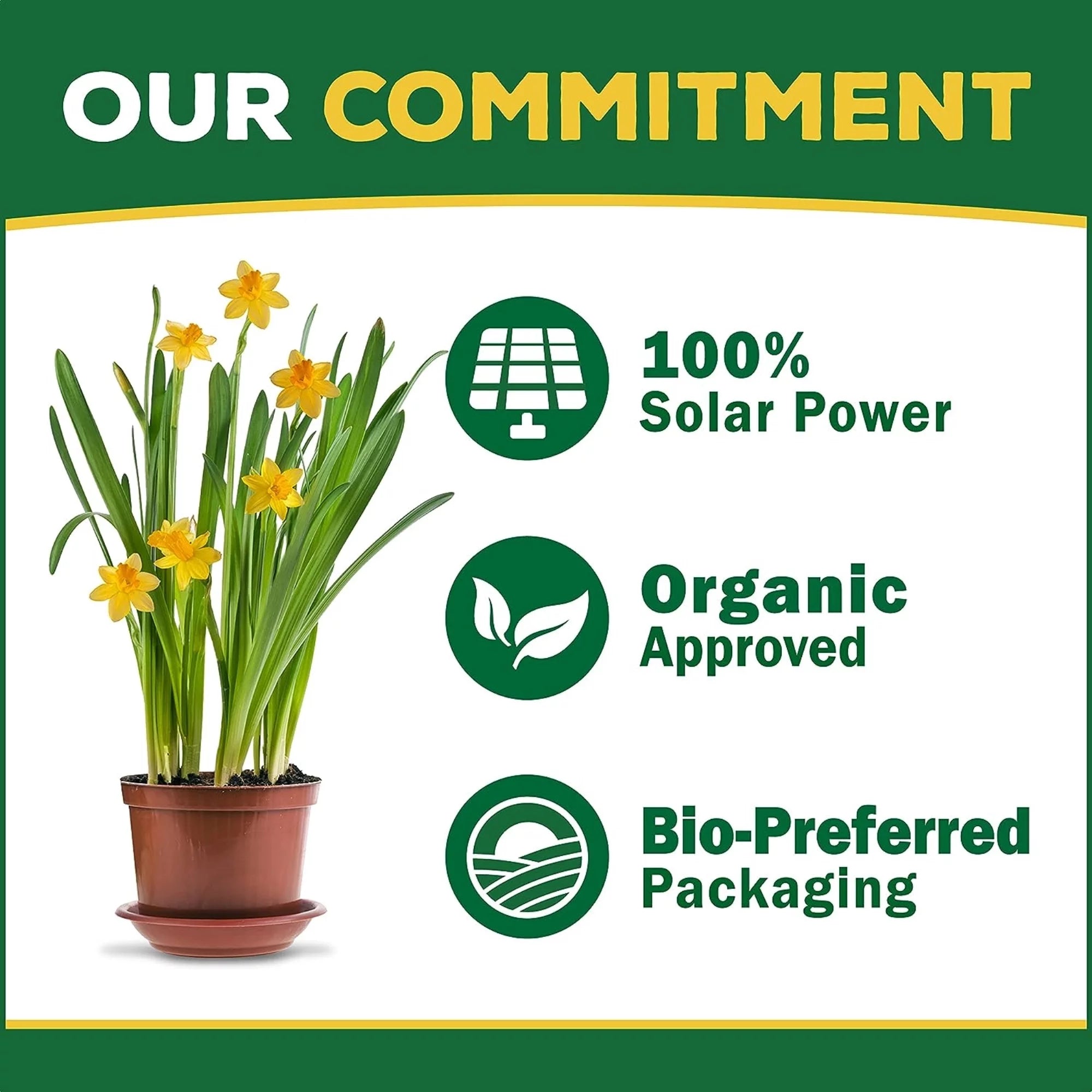 Espoma (#PT50) Organic Plant-tone All-purpose Plant Food, 5-3-3, 50# bag
