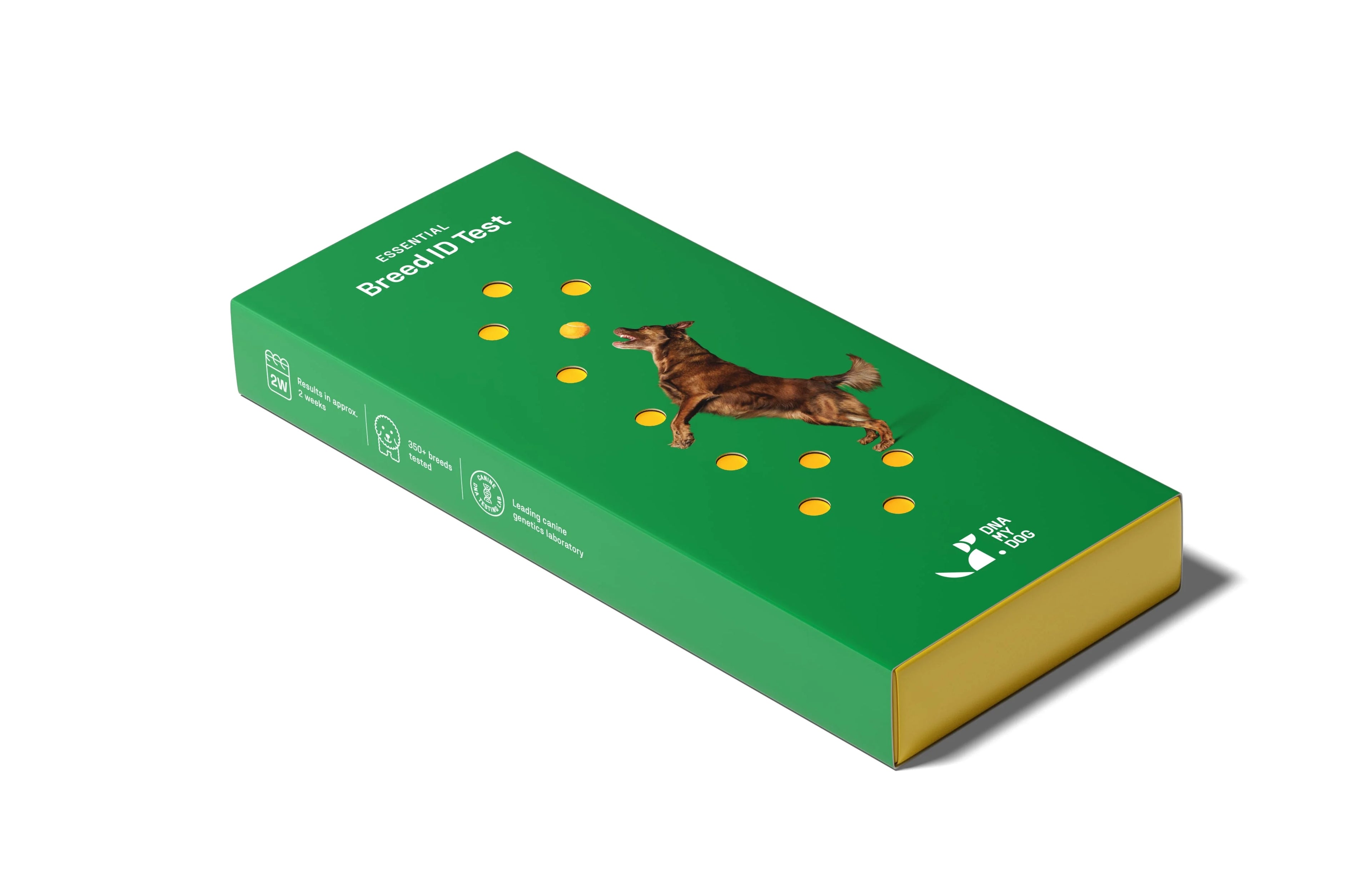 DNA My Dog Essential Breed ID Testing Kit